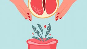 چه کسانی کاندید مناسب لابیاپلاستی هستند؟