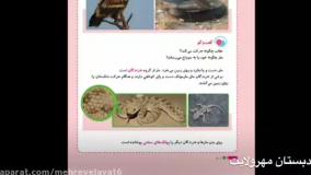 درس سیزدهم کتاب علوم کلاس سوم تلاش دبستان