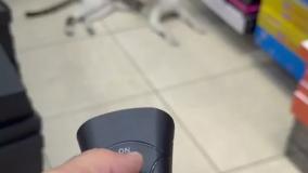 دور کننده حیوانات