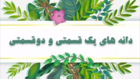 علوم کلاس سوم ، دانه های یک قسمتی و دوقسمتی