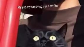 گربه رفته ترند هوا با صاحبش