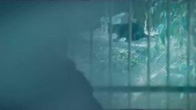 پوست شیر فصل ۳ و ۲ و ۱ کامل / شهاب حسینی