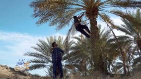 بزرگ راه همت: مستند کشاورزان جوان