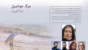 مجموعه داستان «مرگ حواصیل» نویسنده «زویا قلی­‌پور» بخش دوم