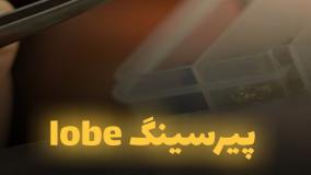 پیرسینگ lobe