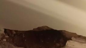 Normal_138878fe-295a-40c6-9c24-49f8dcd83e94uid_nez5ohw_45856997