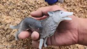 برنامه کودک ماشین بازی _ اسباب بازی جدید