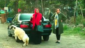 سینمایی عروس خیابان فرشته - فیلم سینمایی کمدی