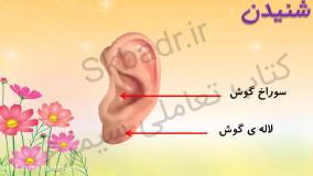 صفحه 50 علوم کلاس پنجم