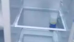 یخچال ساید فوجی ژاپن