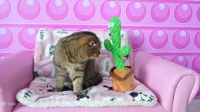 دیانا و روما - بازی دیانا و روما - دیانا و روما جدید - دیانا روما برنامه کودک