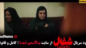 شغال قسمت جدید / سریال شغال ایرانی قسمت ۱۳