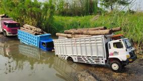 ماشین های رنگی : ماشین های رنگی برای کودکان : تفریحی و سرگرمی