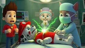 انیمیشن سگ های نگهبان با دوبله فارسی: هاپوها و نجات اسباب بازی فضایی!