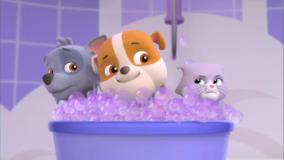 انیمیشن سگ های نگهبان با دوبله فارسی: هاپوها و نجات ایس!