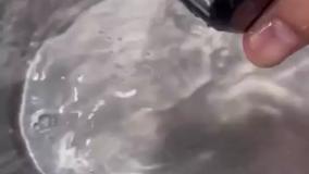 تست شیور و ریش تراش سیلور کرست