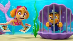 انیمیشن سگ های نگهبان با دوبله فارسی: هاپوها و نجات طوطی مهربان!