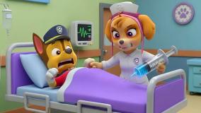 انیمیشن سگ های نگهبان با دوبله فارسی: هاپوها و نجات هاپولانسیس!