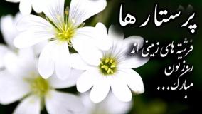 ولادت حضرت زینب (س) روز پرستار مبارک | روز پرستار گرامی باد