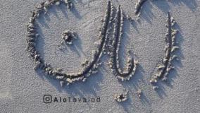 آهنگ تولدت مبارک | یه عالمه تبریک رنگی پاییزی برات! | تولد آبان ماهی ها