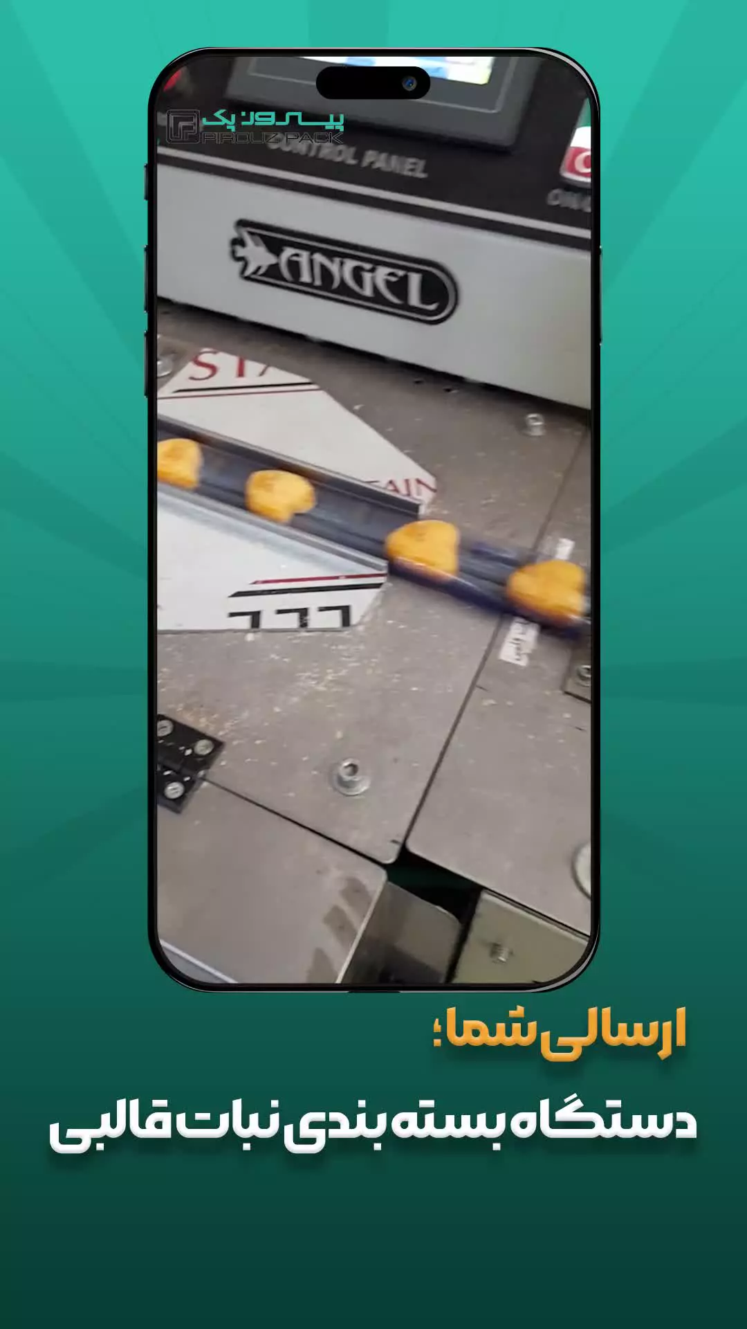 دستگاه بسته بندی نبات قالبی؛ کلید اعتماد مشتری و رشد برند