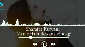 شرافت پروانی - دیوانه نیستم