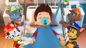 انیمیشن سگ های نگهبان با دوبله فارسی: هاپوها و نجات هیجان انگیز!