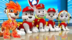 انیمیشن سگ های نگهبان با دوبله فارسی | هاپوها و نجات کوسه ترسناک