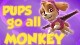 انیمیشن سگ های نگهبان با دوبله فارسی | هاپوها تبدیل به میمون می‌شوند!