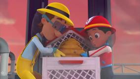 انیمیشن سگ های نگهبان با دوبله فارسی | هاپوها و انتقال زنبور عسل