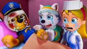 انیمیشن سگ های نگهبان با دوبله فارسی | هاپوها و مربا رنگارنگ