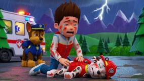 انیمیشن سگ های نگهبان با دوبله فارسی | هاپوها در مسابقه بزرگ