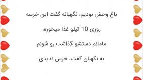 طنزولطیفه ۶۸۵۴