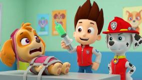 انیمیشن سگ های نگهبان با دوبله فارسی | هاپوها و نجات اسکله