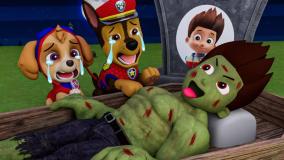 ماموریت با سگ های نگهبان! داستان‌های جذاب و ماجراجویی‌های جدید