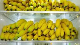 ولادی ونیکی دوبله فارسی ، ولادونیکی جدید ، بانوان سرگرمی ولادونیکی