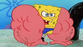 باب اسفنجی دوبله فارسی,دانلود کارتون باب اسفنجی جدید,انیمیشن باب اسفنجی بدنساز