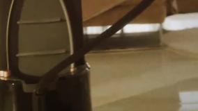 اتو مخزن دار براون