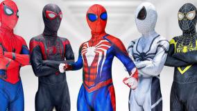 مرد عنکبوتی در دنیای واقعی نبرد تیم مرد عنکبوتی در خانه بزرگ جدید طولانی