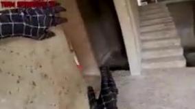 برنامه کودک مرد عنکبوتی مبارزه با دشمنان و چالش‌ها طولانی جذاب