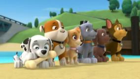 انیمیشن جدید سگهای نگهبان || کارتون سگ های نگهبان || کودک سگ نگهبان دوبله فارسی