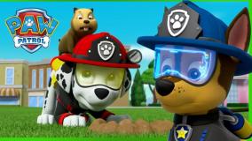 انیمیشن طولانی سگ های نگهبان - سگهای نگهبان جدید - سگهای نگهبان قسمت جدید