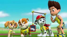 سگ نگهبان دوبله فارسی-انیمیشن سگ های نگهبان-سگهای نگهبان-کارتون سگهای نگهبان