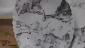 سرویس ۲۵ پارچه کف گل دینو