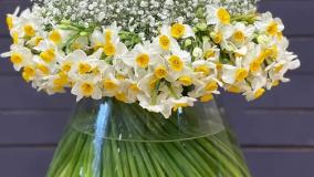 سفارش گل نرگس