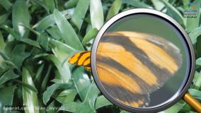 تدريس نشانه ذ فارسي اول ابتدايي- خانم فيض برای اولی های آینده ساز عزیز