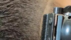 آموزشگاه آرایشگری مردانه صدرا در ارومیه