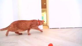 برنامه کودک سنیا - سنیاشو - اسباب بازی ها - برنامه کودک سرگرمی جدید