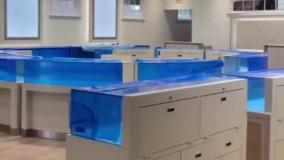 صفر تا صد خدمات طلافروشی/طراحی داخلی و بیرونی