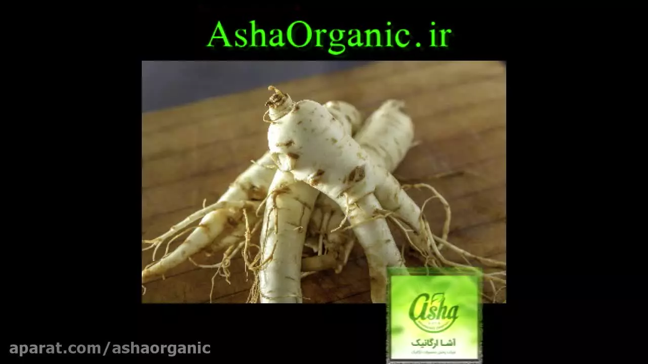 خواص بی‌نظیر جینسینگ؛ انرژی‌بخش، تقویت‌کننده و ضد خستگی طبیعی